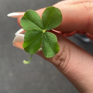 Meet your Posher, Brooklyn